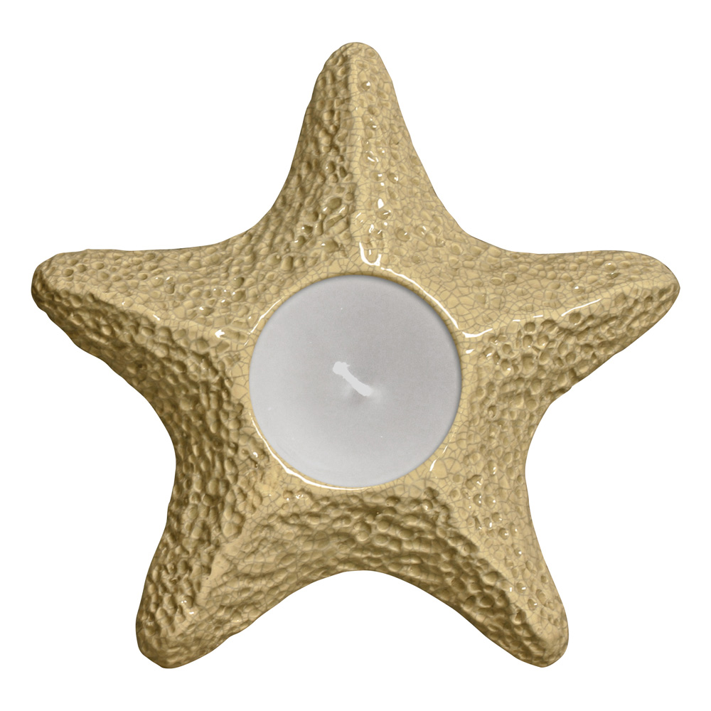 ESTRELA DO MAR BEGE -  Objetos para Decoração em cerâmica - 