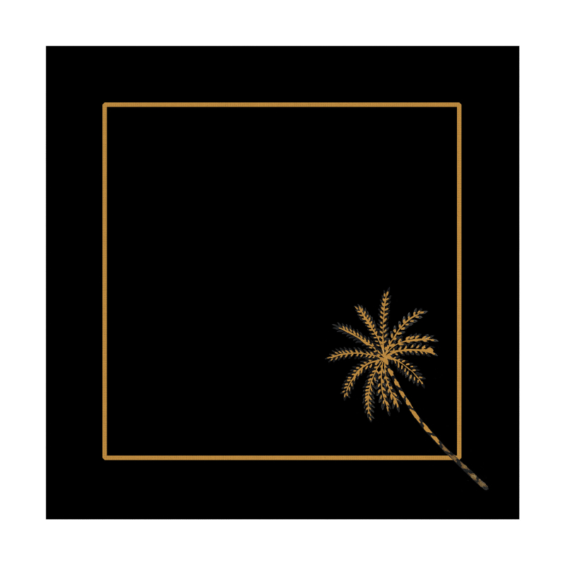 CONJ. GUARDANAPO COCONUT GOLD BLACK - Linha Coconut Gold - 