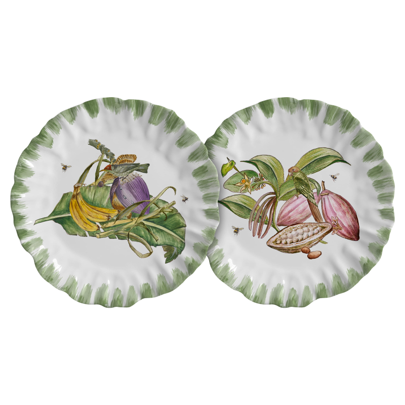 PRATO RASO LITTLE BIRDS - Linha Little Birds - 